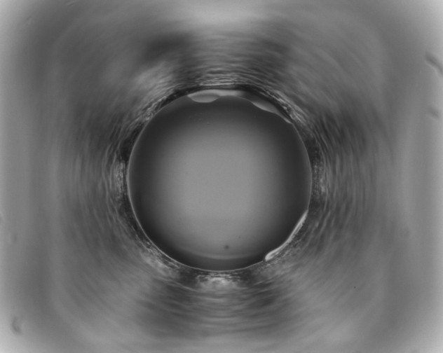 X0000094220475200710261233