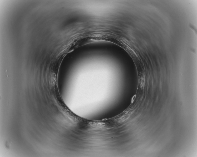 X0000094220476200710261233