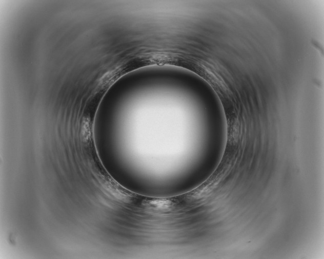 X0000094220478200710261233