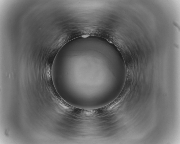 X0000094220479200710261233