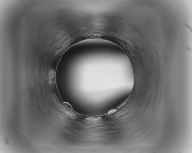 X0000094220480200710261233