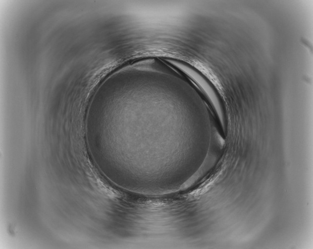 X0000094220481200710261233