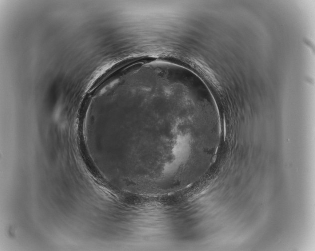 X0000094220483200710261233