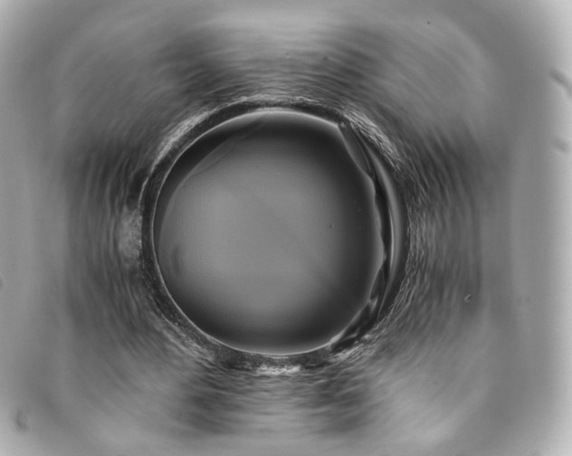 X0000094220484200710261233