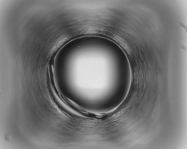 X0000094220485200710261233