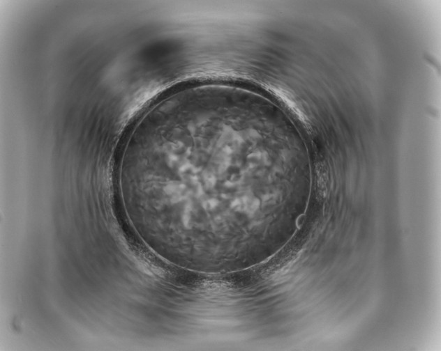X0000094220487200710261233