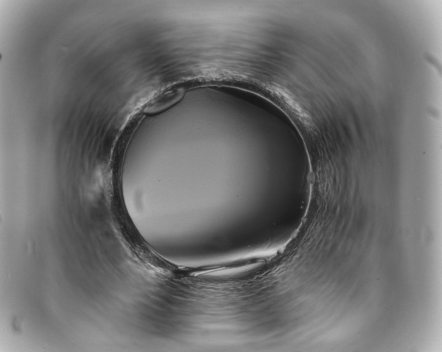 X0000094220488200710261233