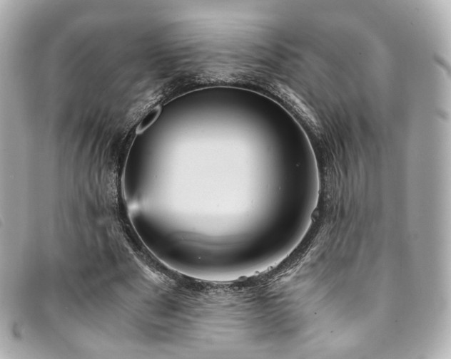 X0000094220489200710261233