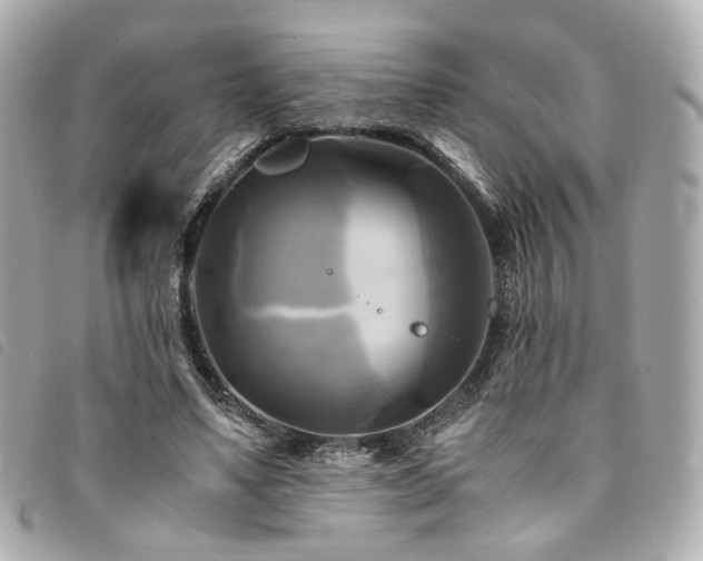 X0000094220491200710261233