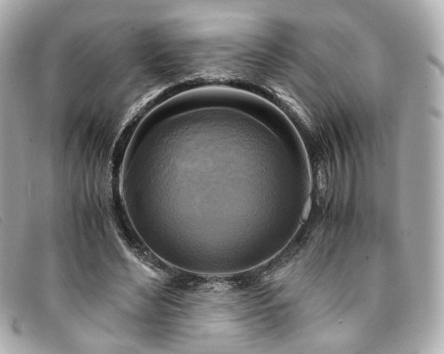 X0000094220492200710261233