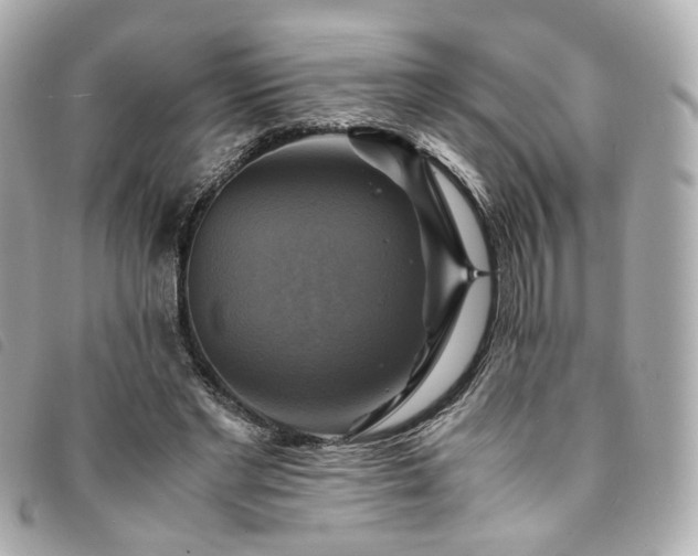 X0000094220493200710261233