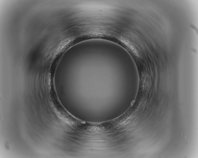 X0000094220494200710261232