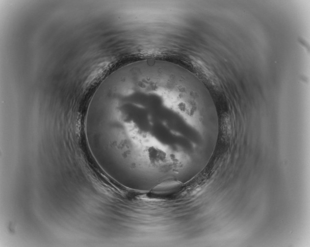 X0000094220495200710261232