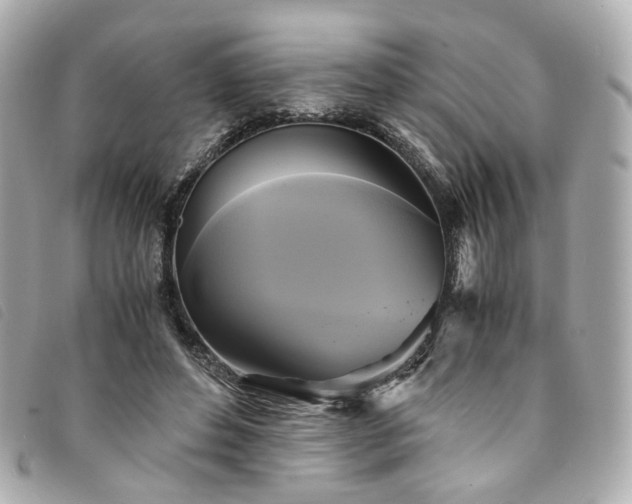 X0000094220496200710261232