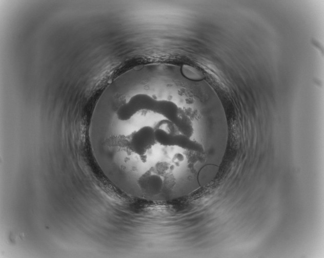 X0000094220499200710261232