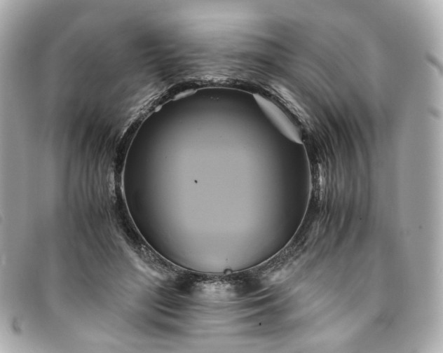 X0000094220500200710261232