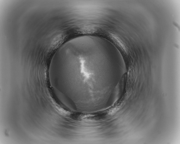 X0000094220501200710261232