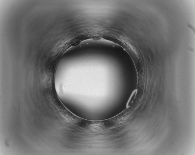 X0000094220505200710261232