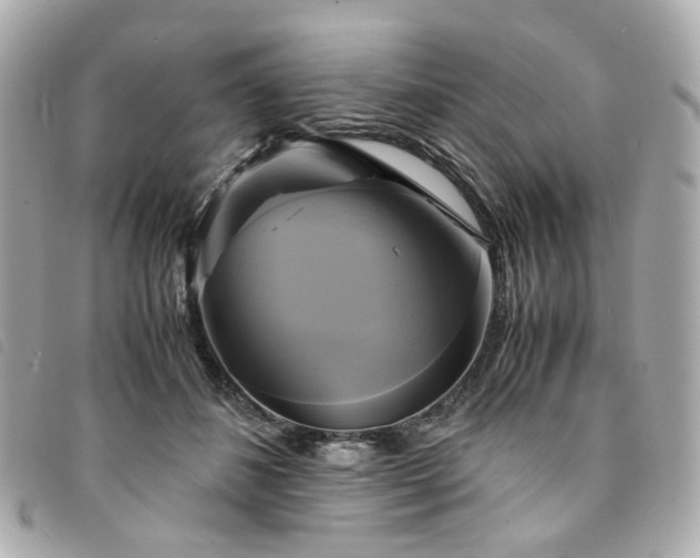 X0000094220508200710261232