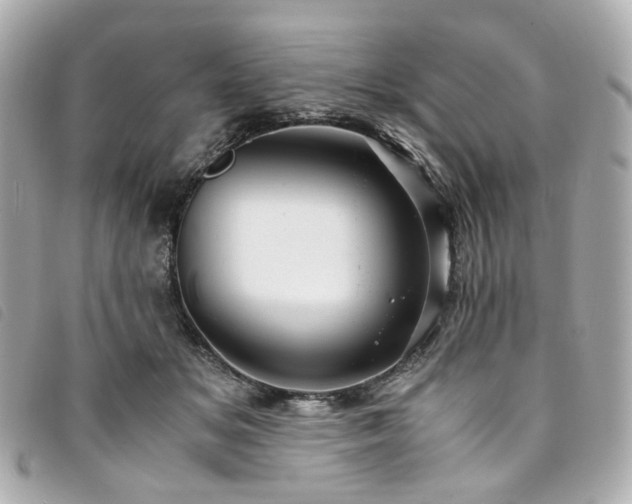 X0000094220509200710261232