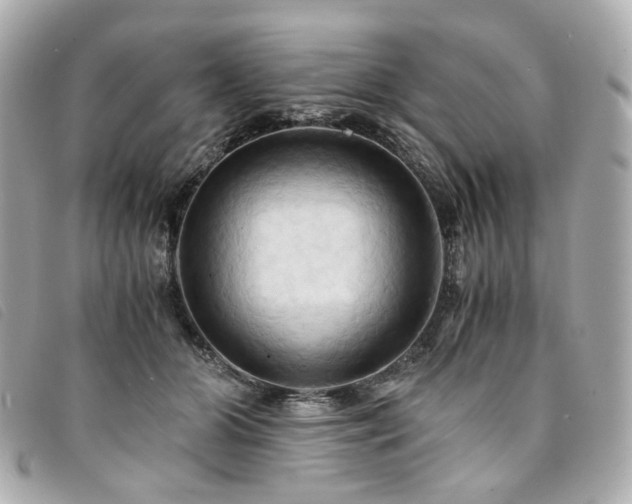 X0000094220510200710261232