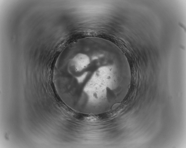 X0000094220511200710261232