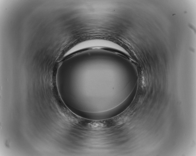 X0000094220512200710261232