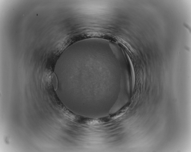 X0000094220513200710261232