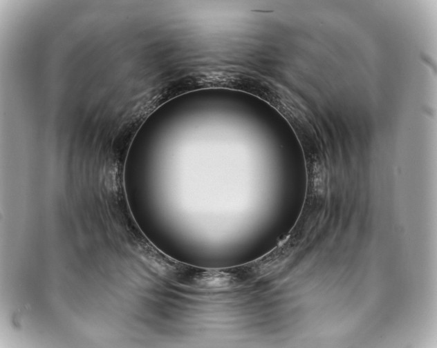 X0000094220514200710261232