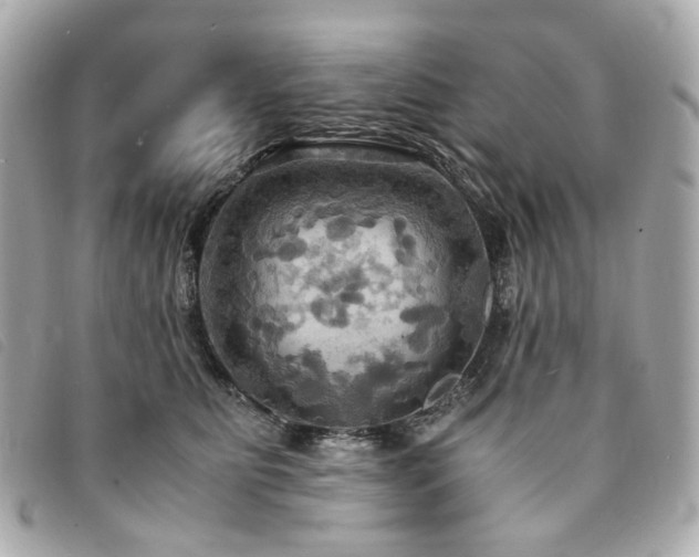 X0000094220515200710261232