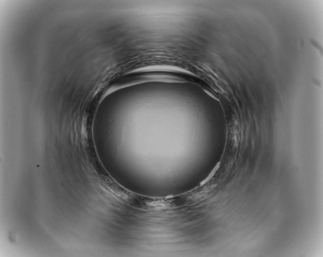 X0000094220516200710261232