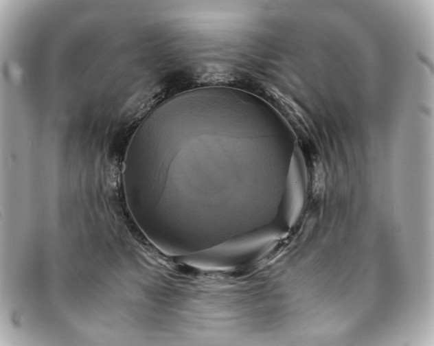 X0000094220517200710261232