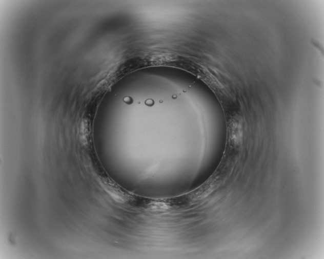 X0000094220519200710261232