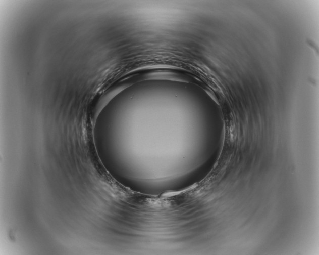 X0000094220520200710261232