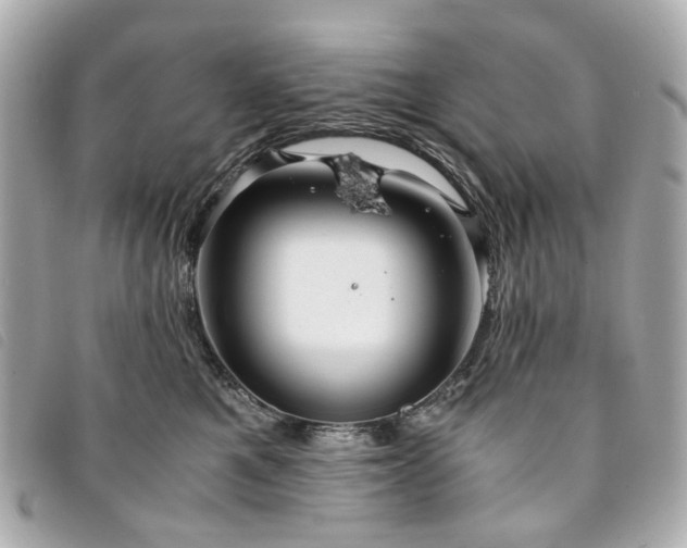 X0000094220521200710261232