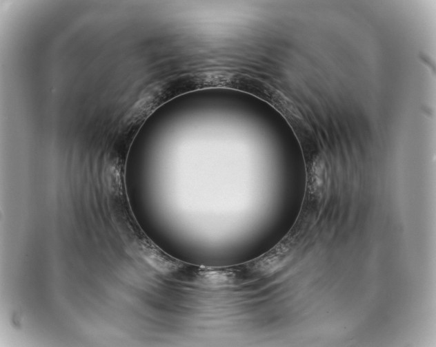 X0000094220522200710261232