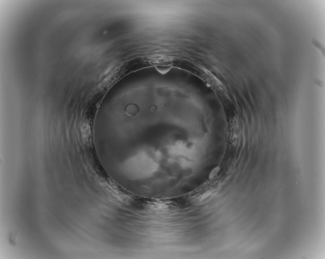 X0000094220523200710261232