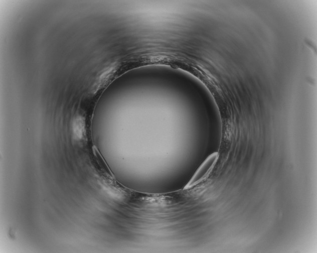 X0000094220524200710261232