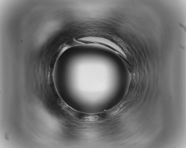 X0000094220525200710261232