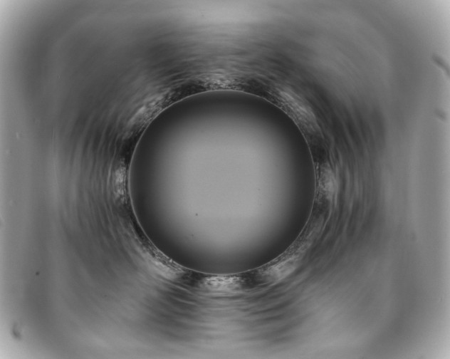 X0000094220526200710261232