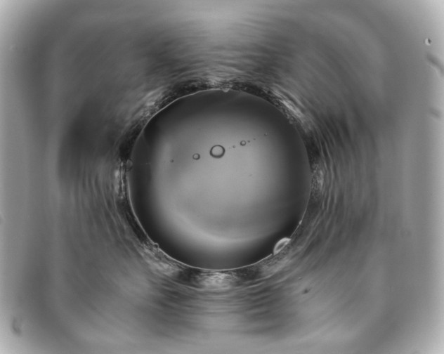 X0000094220527200710261232