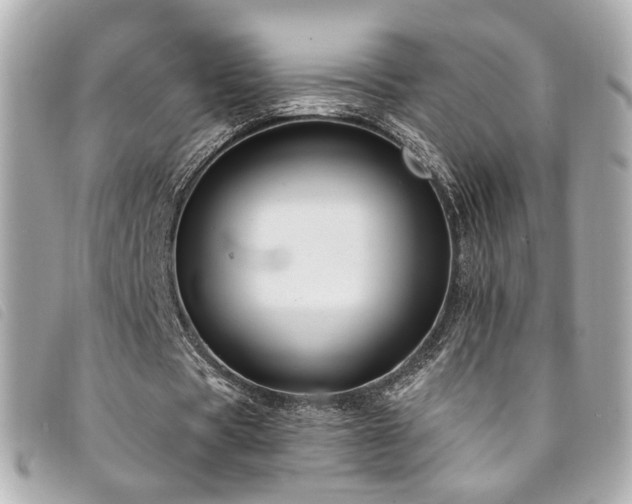 X0000094220529200710261232