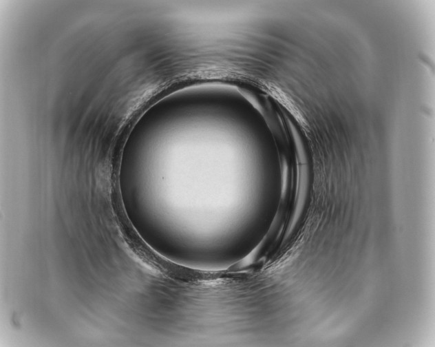 X0000094220530200710261232