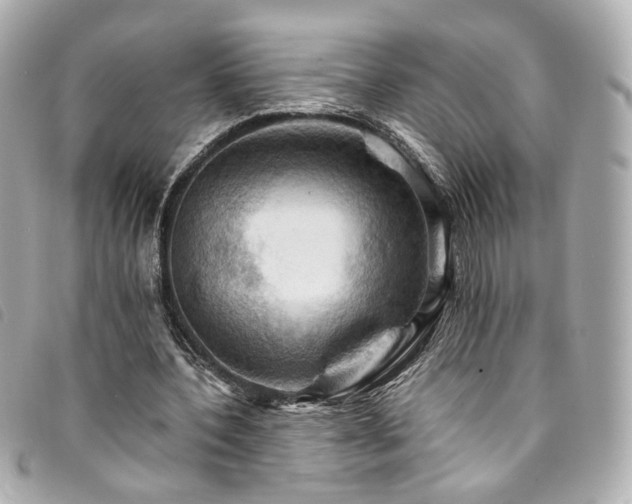 X0000094220532200710261232