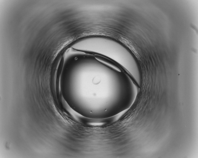 X0000094220534200710261232