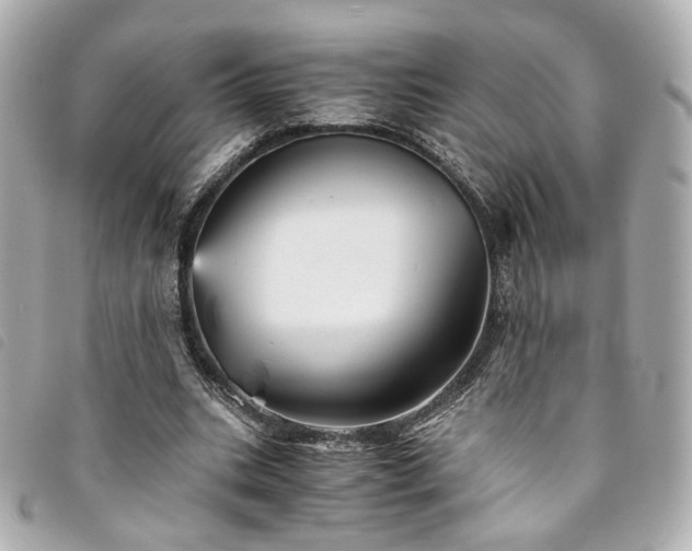 X0000094220535200710261232