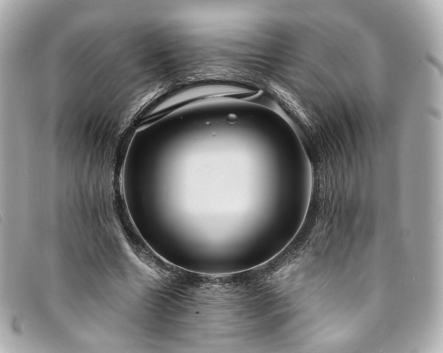 X0000094220538200710261232