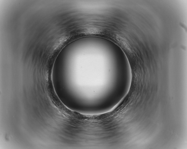 X0000094220539200710261232