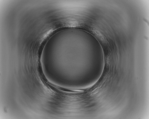 X0000094220540200710261232