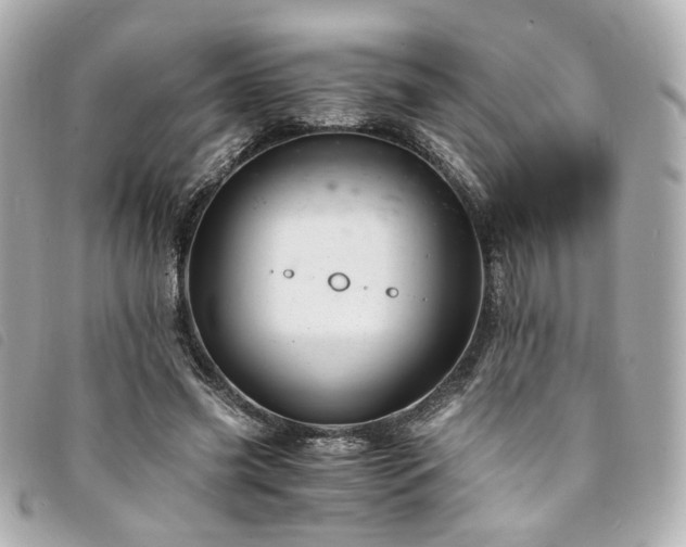 X0000094220541200710261232